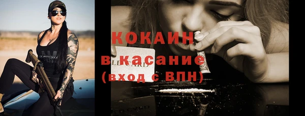 тгк Ладушкин