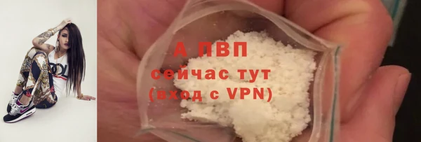 тгк Ладушкин