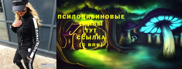 тгк Ладушкин
