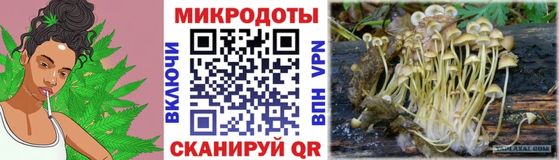 Галлюциногенные грибы Cubensis  Очёр 